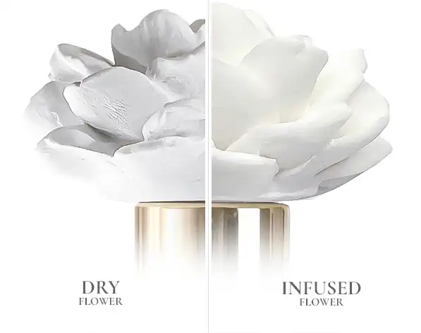 Visual guide showing a ceramic rose diffuser absorbing home fragrance essence – Karlovy Vary luxury gift accessory